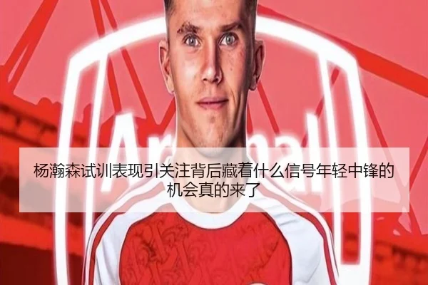 杨瀚森试训表现引关注背后藏着什么信号年轻中锋的机会真的来了